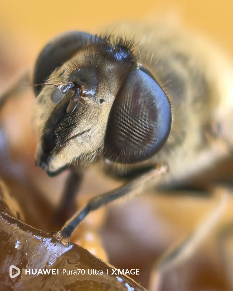 Coşkun Aralın son belgeselinde Türkiyenin Doğusunda görsel bir yolculuğa çıkıyor