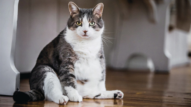 Ruh halimiz onları etkiliyor