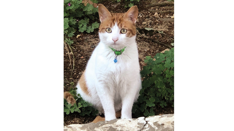 Ruh halimiz onları etkiliyor