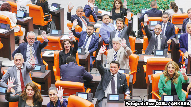 Milletvekillerine sokak hayvanları raporu: 264 günde sorun çözülür