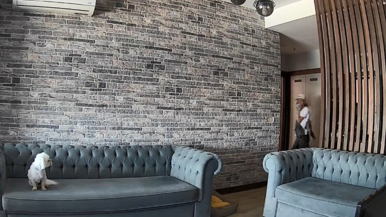 Evdeki köpek hırsızları izleyip kuyruk salladı... Tebessüm ettiren anlar kamerada