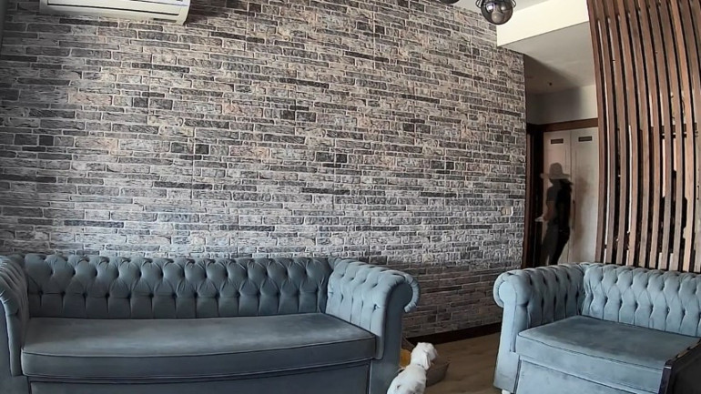 Evdeki köpek hırsızları izleyip kuyruk salladı... Tebessüm ettiren anlar kamerada