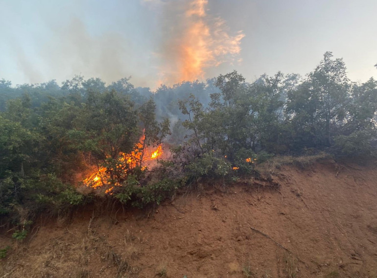 Bingölde bu yılki en büyük yangındı... 8 saatte söndürüldü