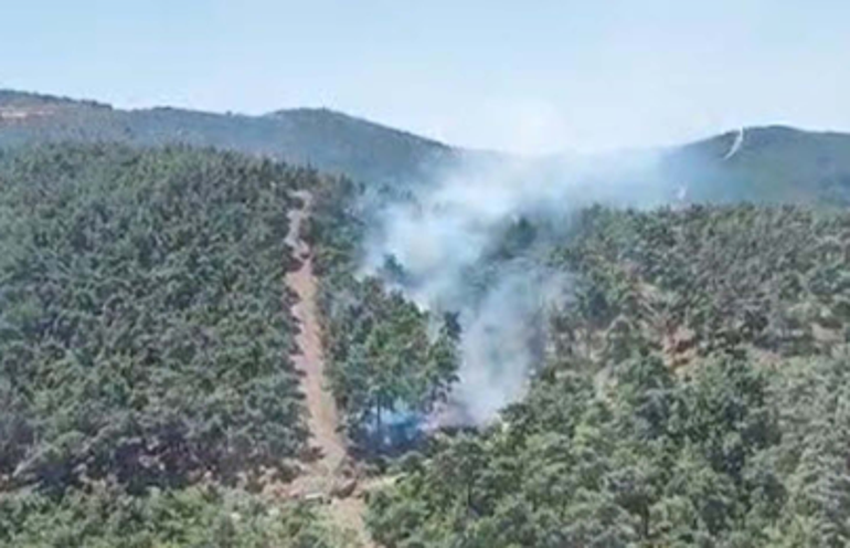 İzmir ve Manisada orman yangını