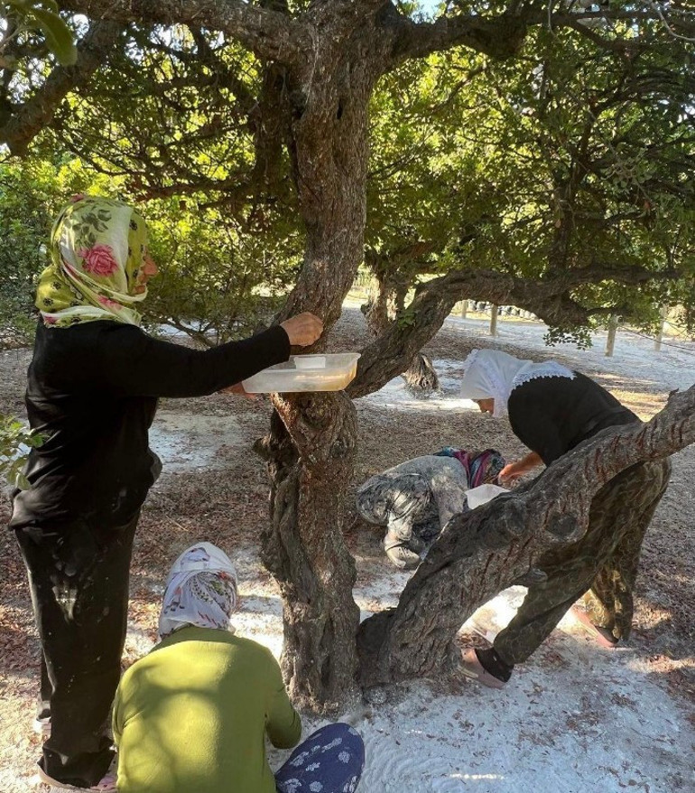 Hem çevreci hem de kadın istihdamına destek oluyor