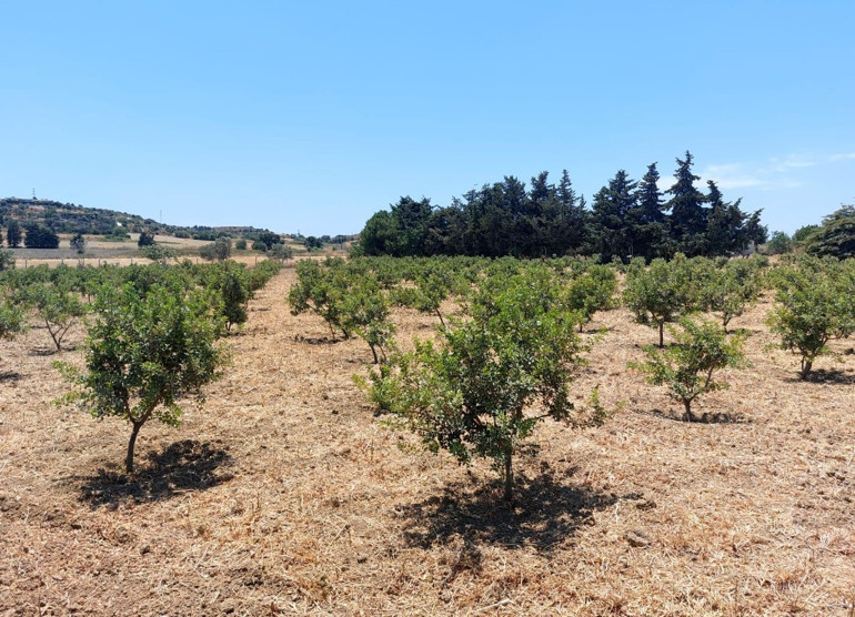 Hem çevreci hem de kadın istihdamına destek oluyor