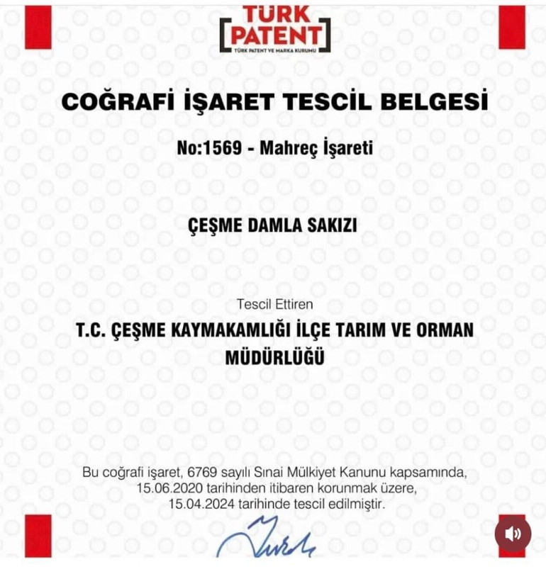 Hem çevreci hem de kadın istihdamına destek oluyor