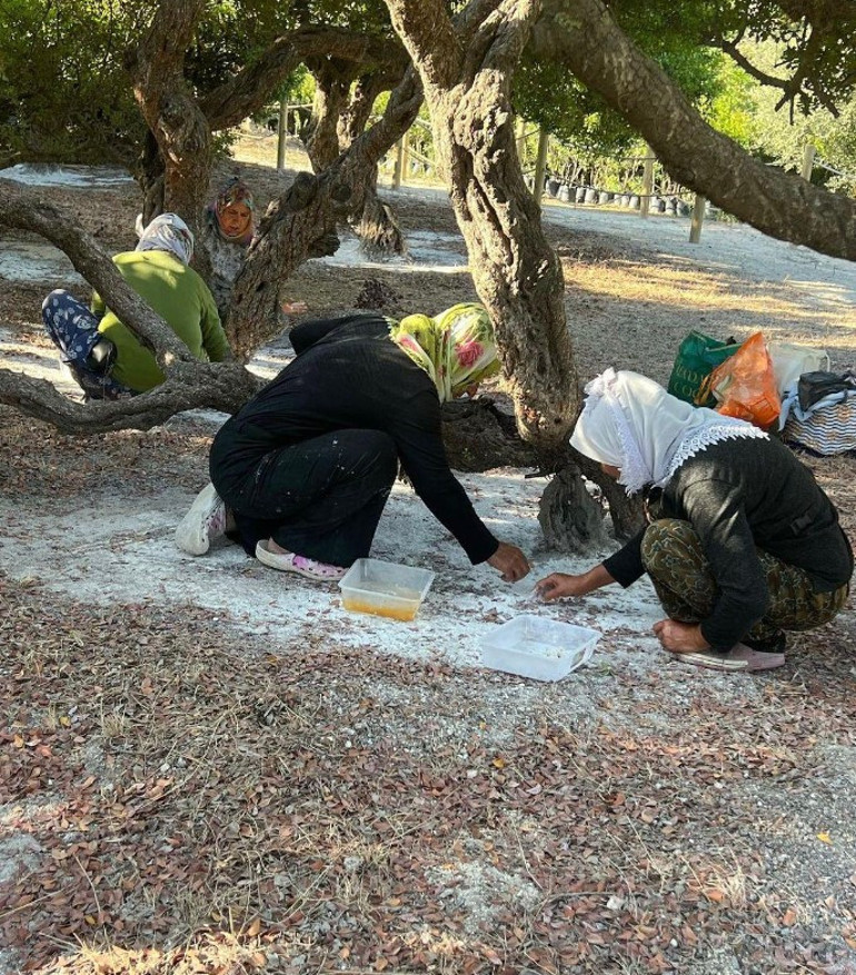 Hem çevreci hem de kadın istihdamına destek oluyor