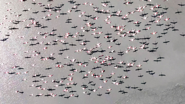 141 doğa harikası daha bizi terk etti