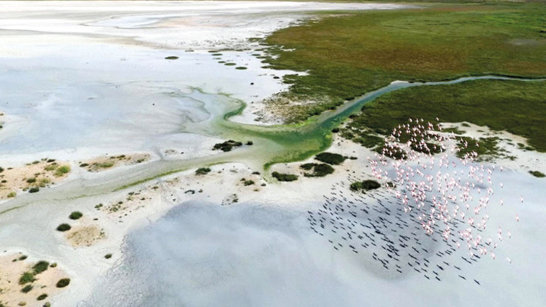 141 doğa harikası daha bizi terk etti