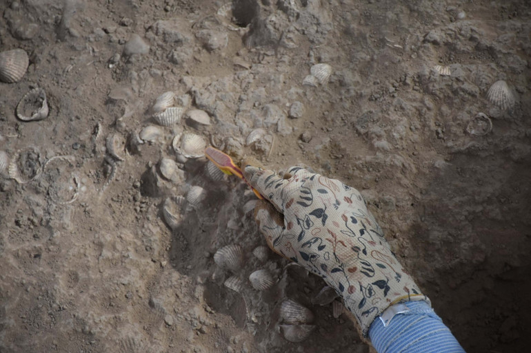 İzmirde Yassıtepe Höyüğündeki kazılarda 5 bin yıllık depo bulundu