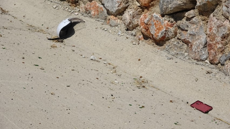 Sokak köpeklerine mama götürüyordu... Hayvansever kadının feci ölümü