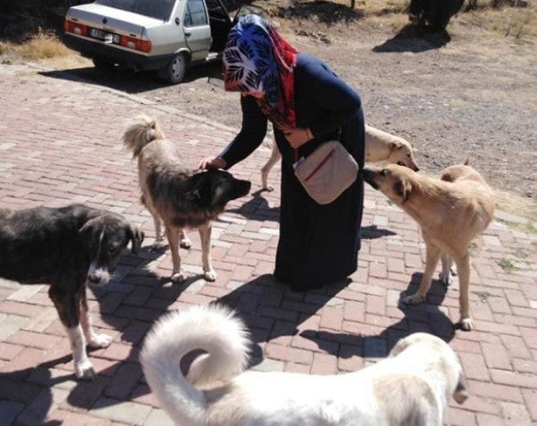 Sokak köpeklerine mama götürüyordu... Hayvansever kadının feci ölümü