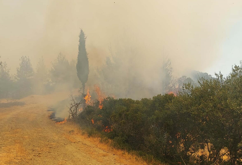 Manisa ve Çanakkalede orman yangını Çanakkalede tarihi alana girişler durduruldu