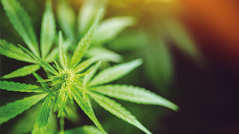 Yasaklı madde internet ve sosyal medyada satılıyor... ‘Uyku keki’ değil uyuşturucu