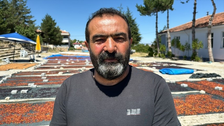 ARGE çalışması yapıp Yozgata kurdu, Japonyaya ihraç ediyor