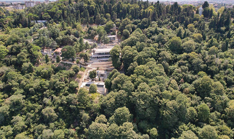 Bu pervasızlık gücünü nereden alıyor