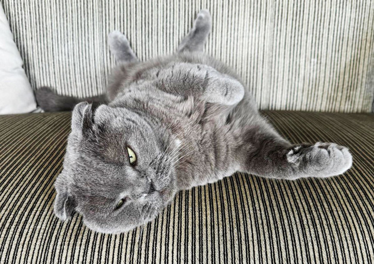 Azıcık mert olunsa sorun kalmayacak