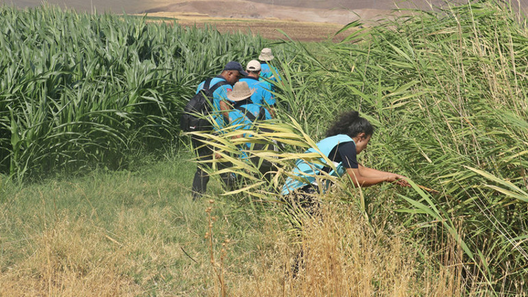 Son dakika haberi... Narin Güranı arama çalışmaları 9. gününde: Bakan Tunç: 1 kişi gözaltında... Elimizde deliller var, sonuca çok yaklaştık