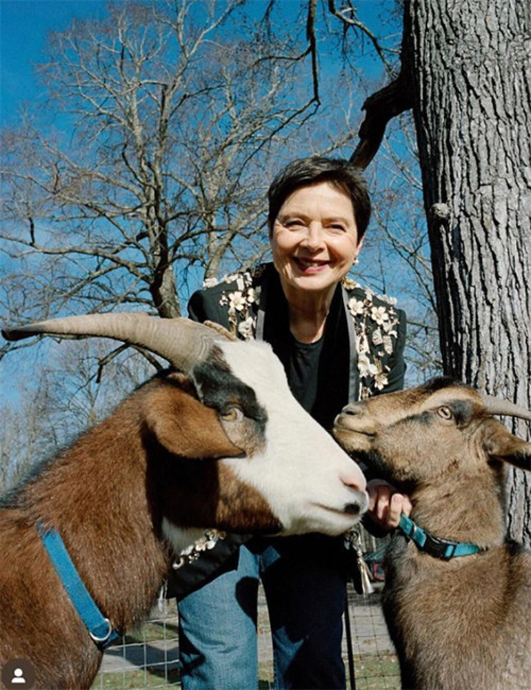 Bir dönemin en güzel yıldızıydı... Yaşlanıp iş bulamayınca çiftlik hayatına sığındı... Yumurtalarımızı çaldılar