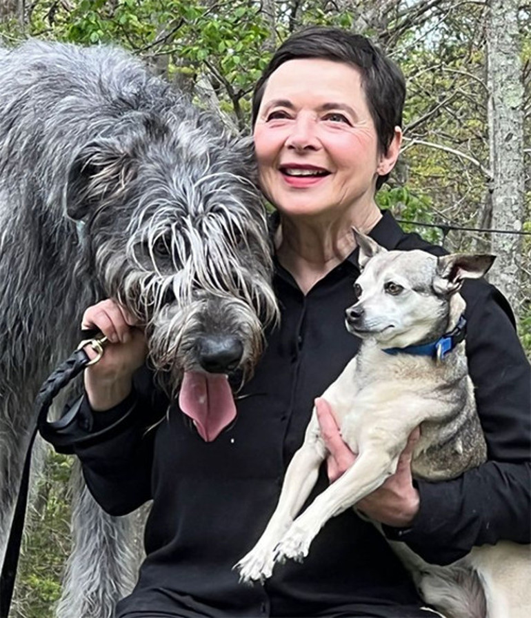 Bir dönemin en güzel yıldızıydı... Yaşlanıp iş bulamayınca çiftlik hayatına sığındı... Yumurtalarımızı çaldılar