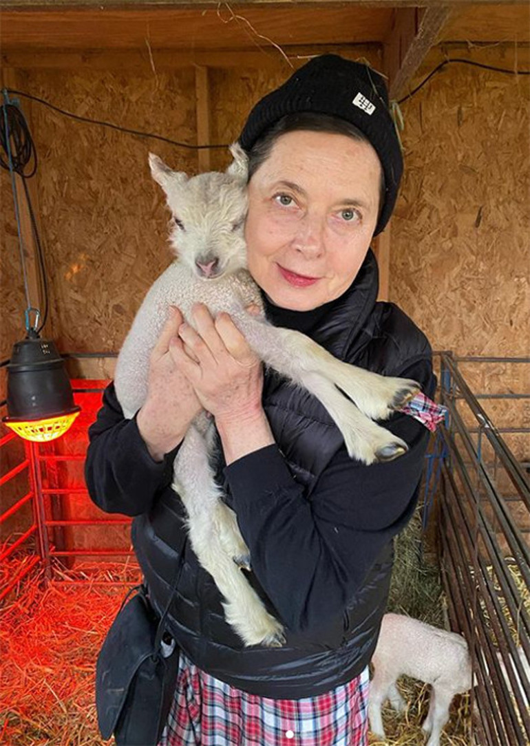 Bir dönemin en güzel yıldızıydı... Yaşlanıp iş bulamayınca çiftlik hayatına sığındı... Yumurtalarımızı çaldılar