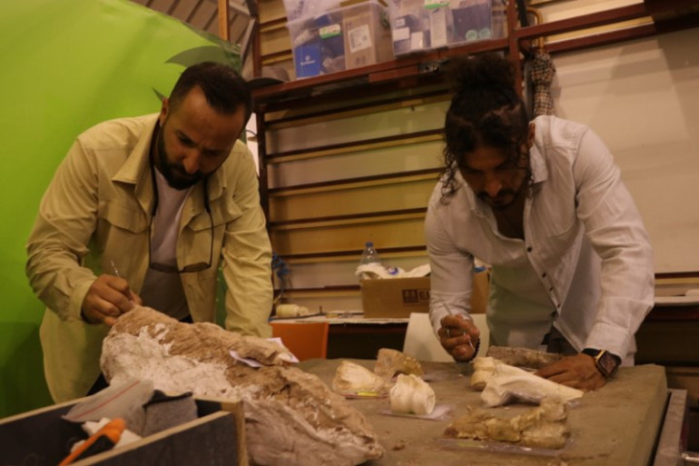 Çoban fark edince çalışma başlatılmıştı Kayseride heyecan veren keşif: Tam 8 milyon yıllık... İlk kez böyle bütün halde bulduk