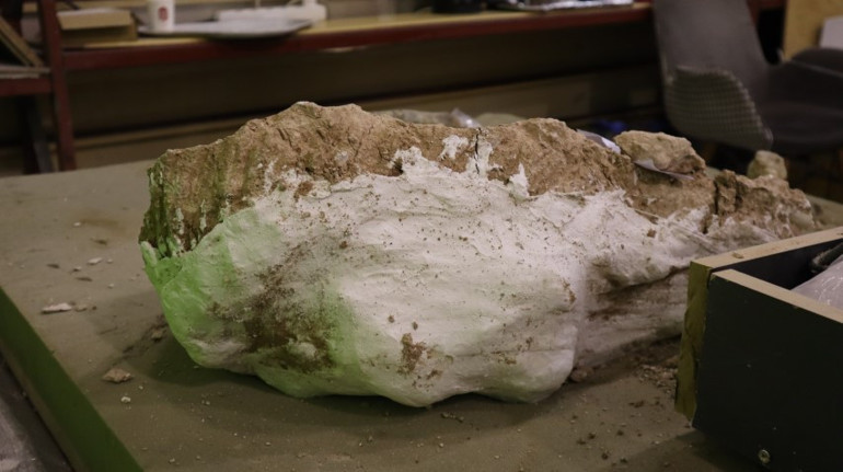 Çoban fark edince çalışma başlatılmıştı Kayseride heyecan veren keşif: Tam 8 milyon yıllık... İlk kez böyle bütün halde bulduk