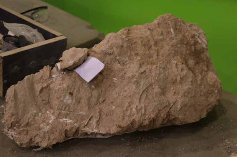 Çoban fark edince çalışma başlatılmıştı Kayseride heyecan veren keşif: Tam 8 milyon yıllık... İlk kez böyle bütün halde bulduk