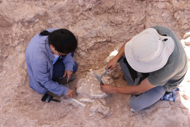 Çoban fark edince çalışma başlatılmıştı Kayseride heyecan veren keşif: Tam 8 milyon yıllık... İlk kez böyle bütün halde bulduk