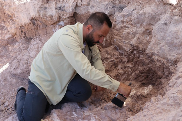 Çoban fark edince çalışma başlatılmıştı Kayseride heyecan veren keşif: Tam 8 milyon yıllık... İlk kez böyle bütün halde bulduk