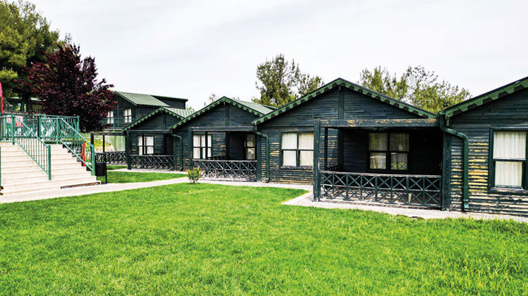 Dilruba vakası neye yaradı