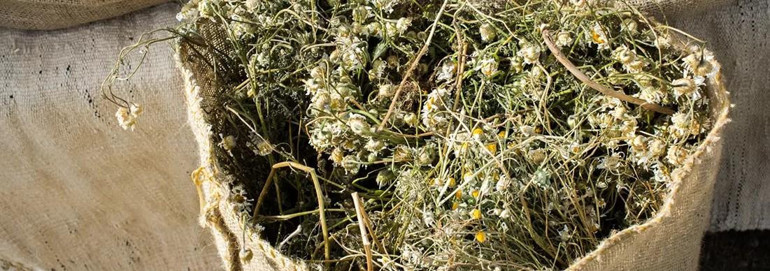 İzmir gibi enerjik, İzmir gibi doğal ve İzmir gibi pozitif