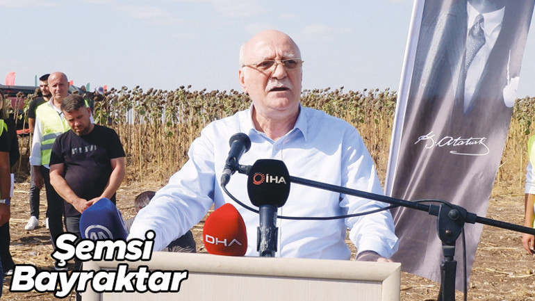 Kuraklık verimi düşürdü... Ayçiçek üreticisine destek çağrısı
