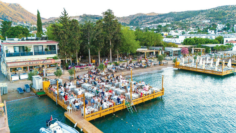 Bodrum’un yüz akı: Orkide