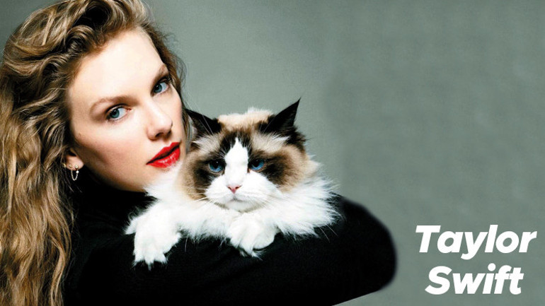 Kediler ABD’de seçimi etkileyebilir mi