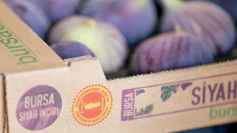 Coğrafi tescilli: Bursa Siyahı’ AB yolcusu