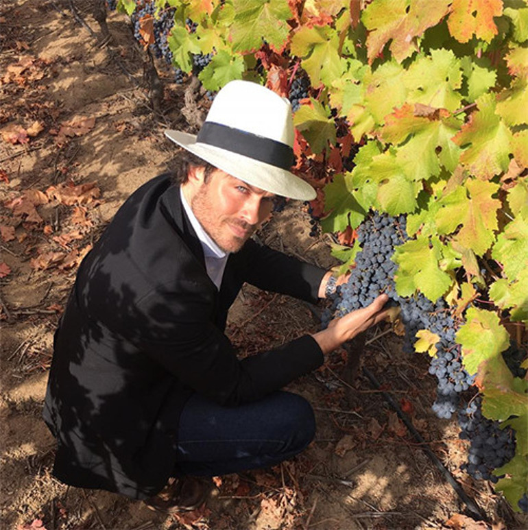 Oyunculuğu bırakıp çiftçi olmuştu: Ellerim kirli belki ama bu hayat çok bereketli