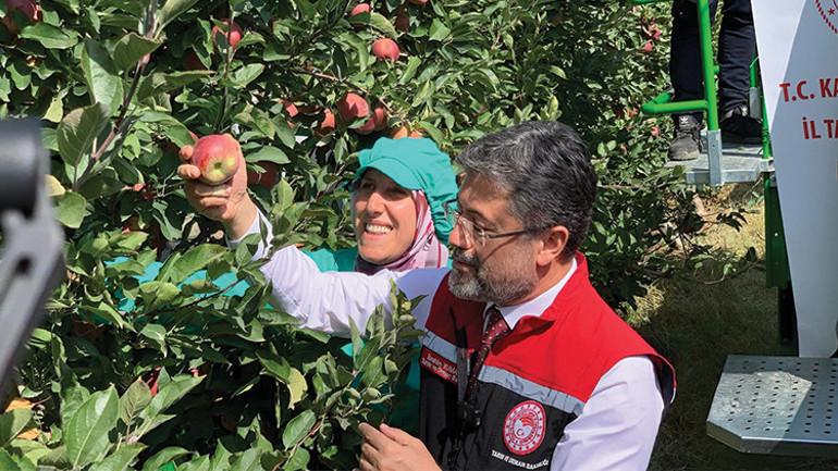 Tarım ve Orman Bakanı Yumaklı, Karaman’da elma hasadı yaptı
