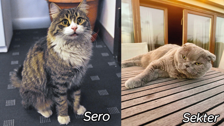 Nasrallah notları… Hizbullah’ın beyni ve kalbi yok oldu