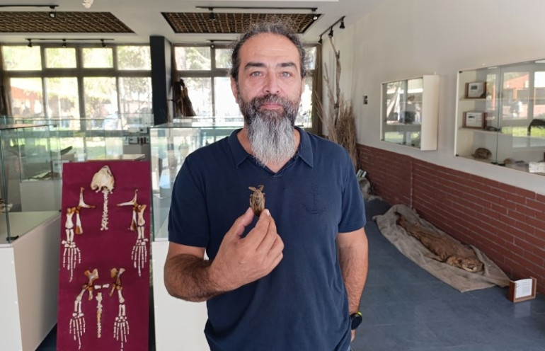 Türkiyede sahillerde ilk kez görüldü: İsmi parmak kopartan | Uzmanlar ilginç bir durum olarak değerlendirdi