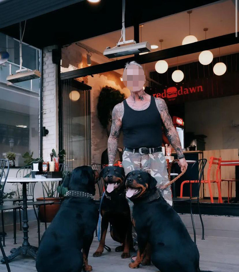 Dört köpeğin saldırısına uğrayan Lilly öldü