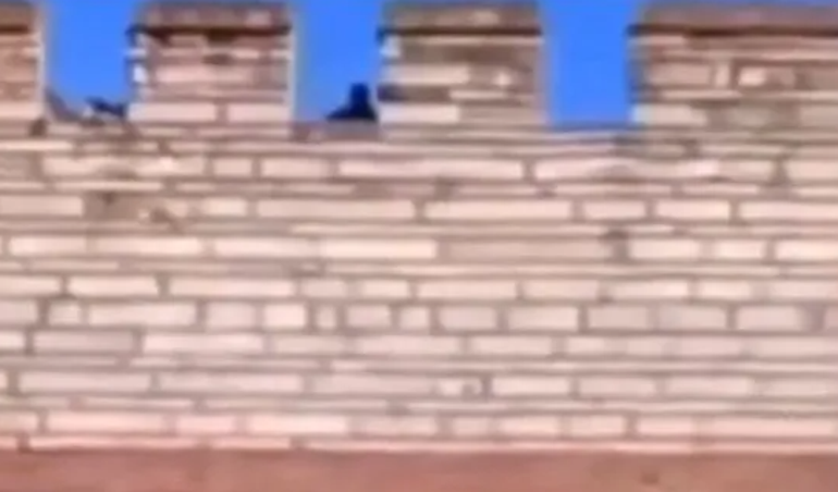 İkbal Uzuner ve Ayşenur Halili psikopat Semih Çelik katletmişti Surdaki görüntüdeki 3. kişinin sırrı çözüldü