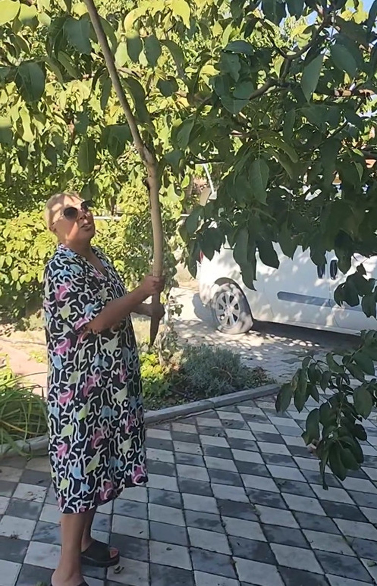 Hülya Avşar ağaca çıktı hasada başladı: Kendi işini kendin yapacaksın