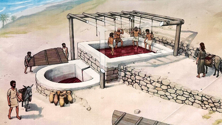 İşte Trakya’nın ilk şarap imalathanesi