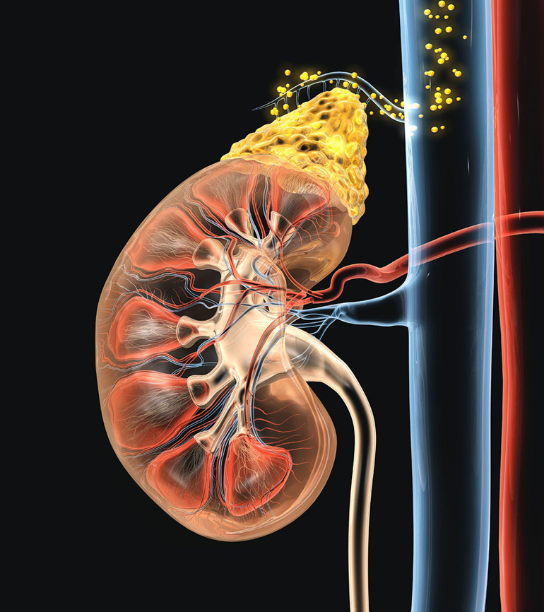 Ünlü fenomen 25 yaşında addison hastalığından hayatını kaybetti