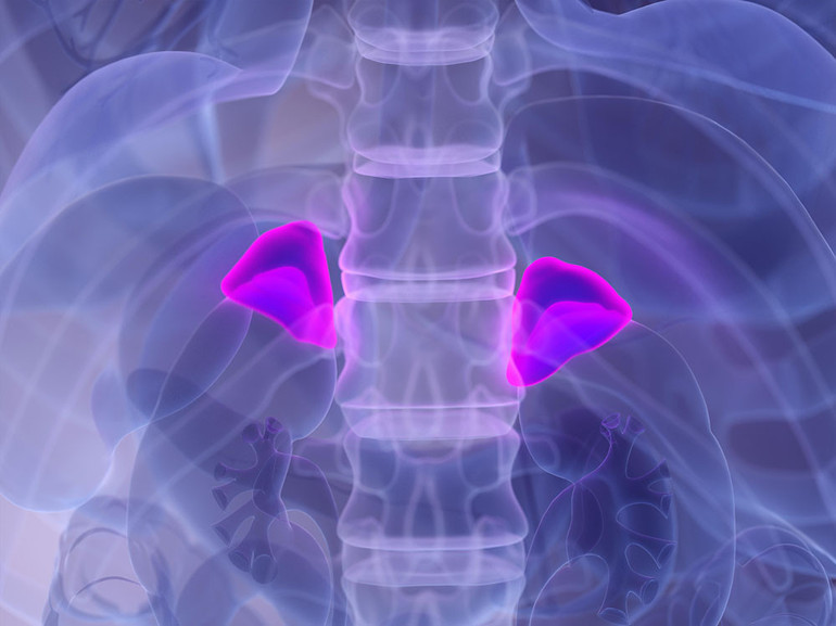 Ünlü fenomen 25 yaşında addison hastalığından hayatını kaybetti