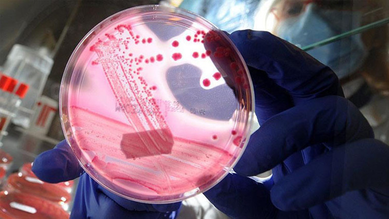 Bilim dünyasında devrim 4. evre kanseri yendi… Sadece 6 ay ömrü kalmıştı…