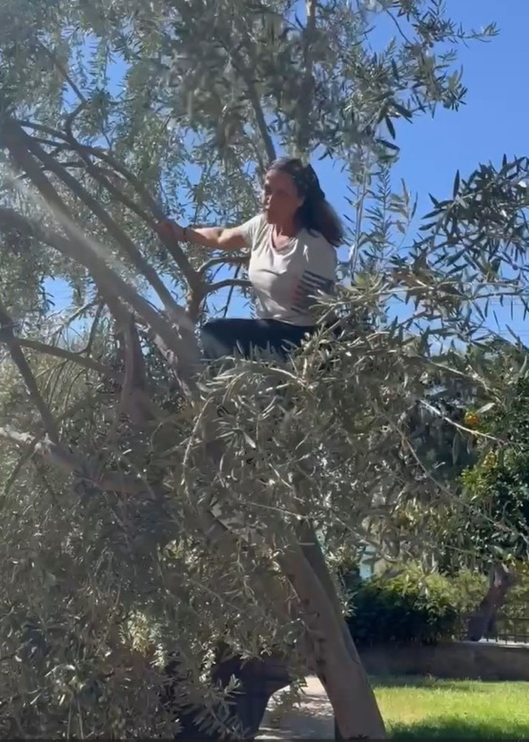 Hülya Avşar ağaca çıktı hasada başladı: Kendi işini kendin yapacaksın
