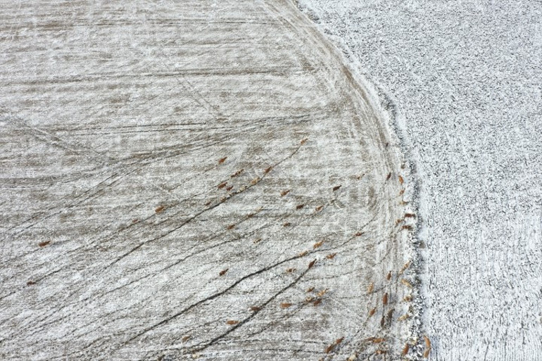 Meteoroloji uyarmıştı: Hava soğudu, kar bastırdı... Kent merkezini beyaz örtü kapladı